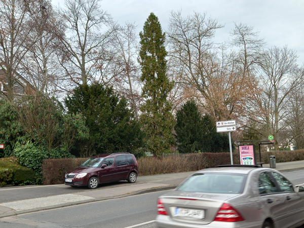 Makler Köln Lindenthal